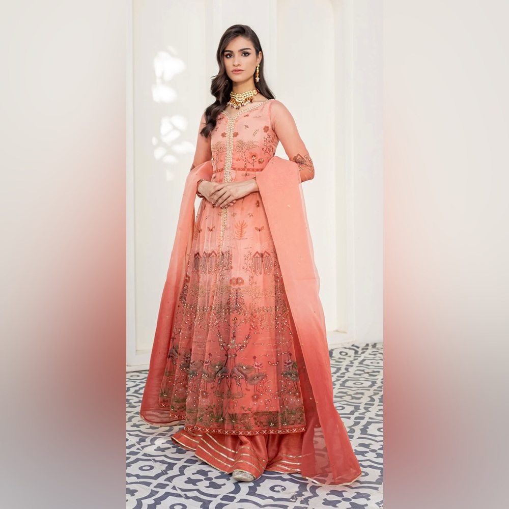 Pakistani Party wear